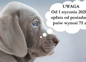 Opłata od posiadania psa