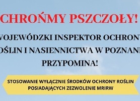 Zabiegi środkami ochrony roślin?