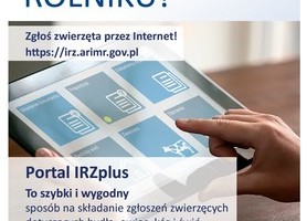 Agencja Restrukturyzacji i Modernizacji Rolnictwa udostępnia posiadaczom zwierząt Portal IRZplus