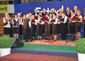Festiwal Artystyczny Seniorów 
