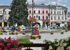 Głosujcie na Kępno w plebiscycie Terra Flower Power 2019