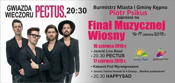 Finał Muzycznej Wiosny