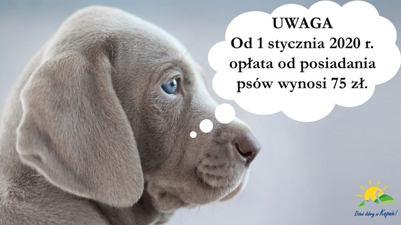 Opłata od posiadania psa