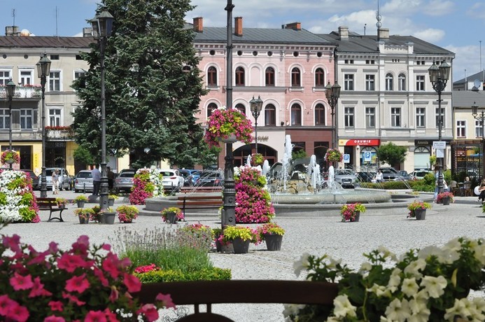 Głosujcie na Kępno w plebiscycie Terra Flower Power 2019