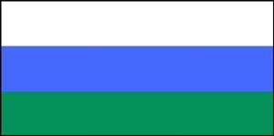 Barwy Kępna - flaga
