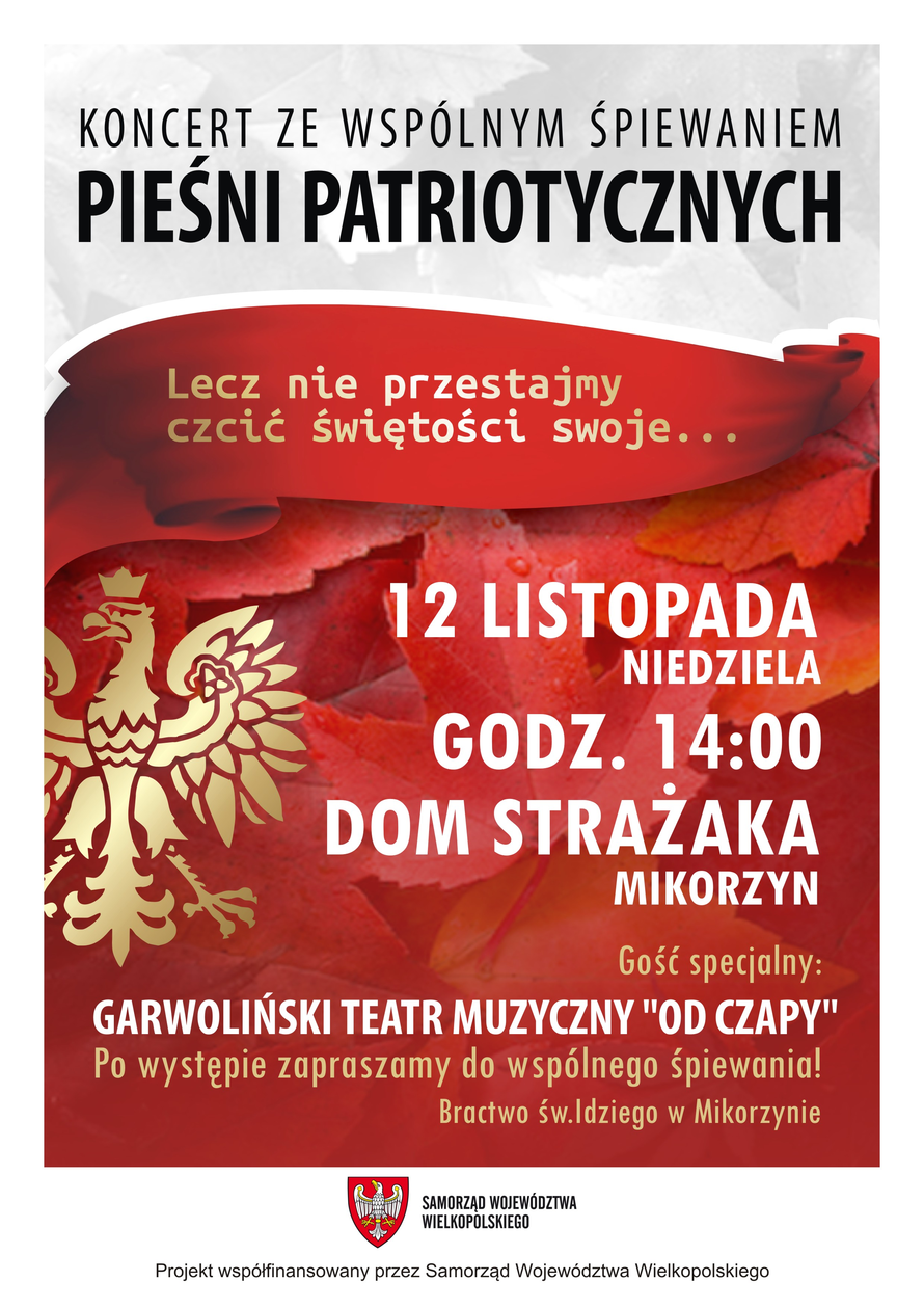 Plakat koncertu