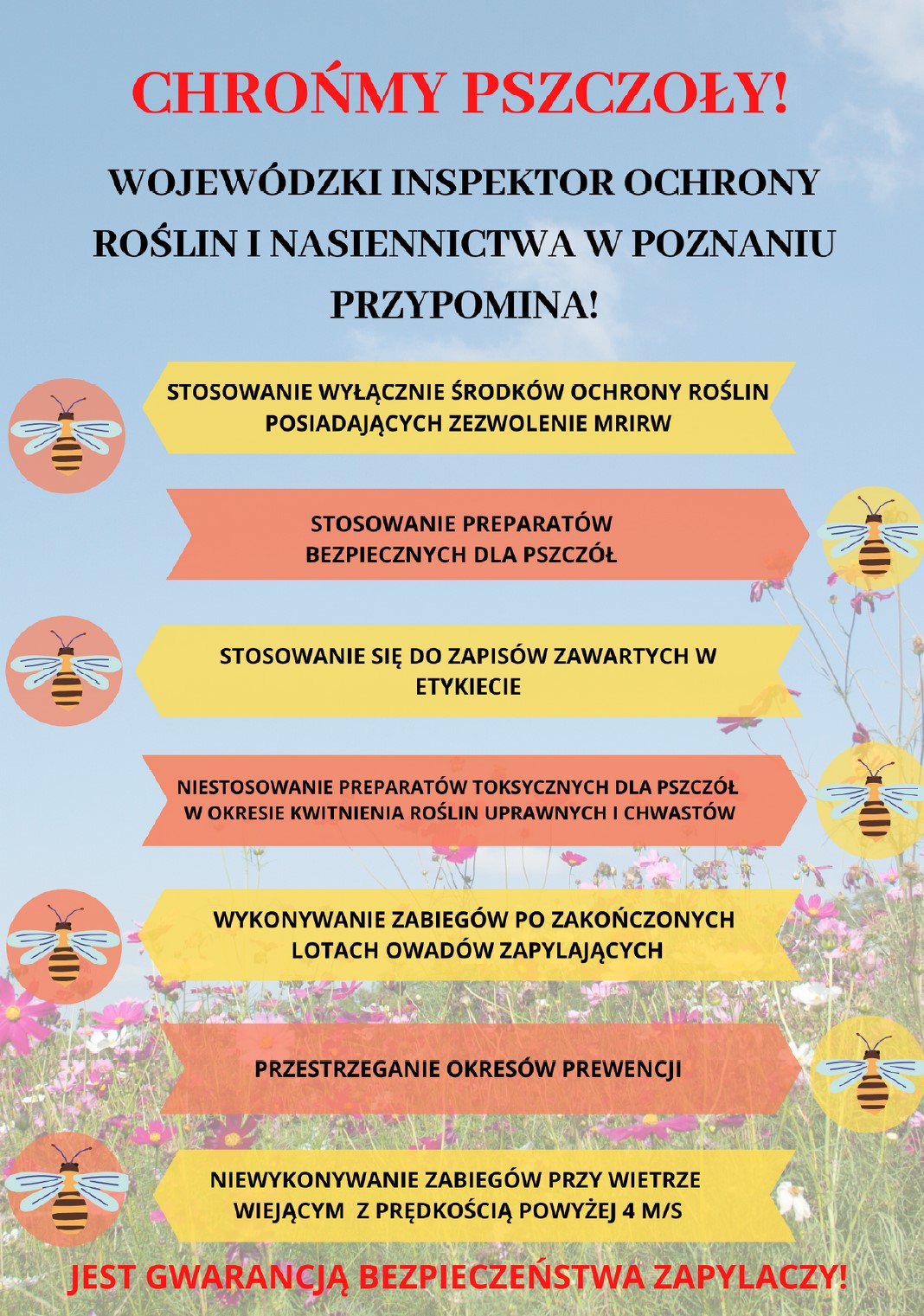 Plakat informujący o ochronie pszczół 